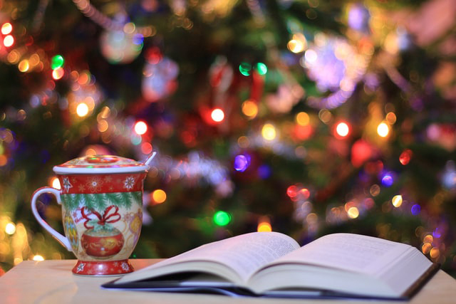 5 Reasons Why You Should Write a Christmas Book