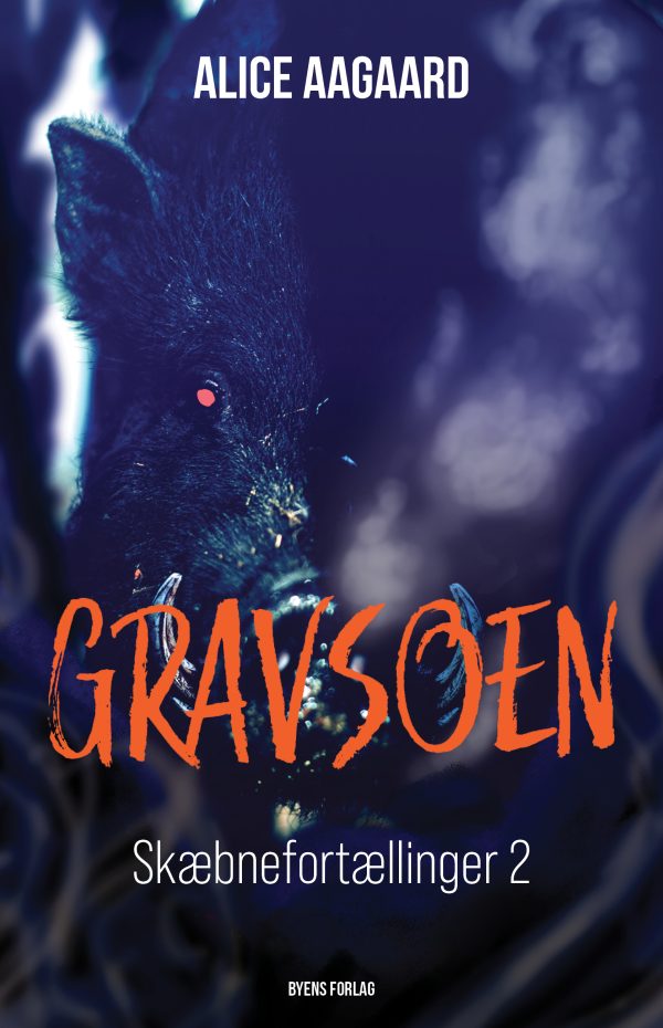 Gravsoen by Alice Aagaard