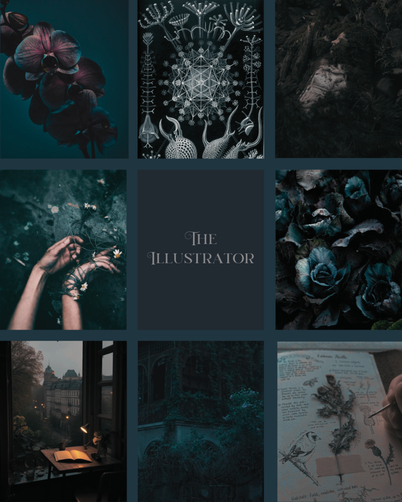 Mood board for upcoming gothic novel The Illustrator