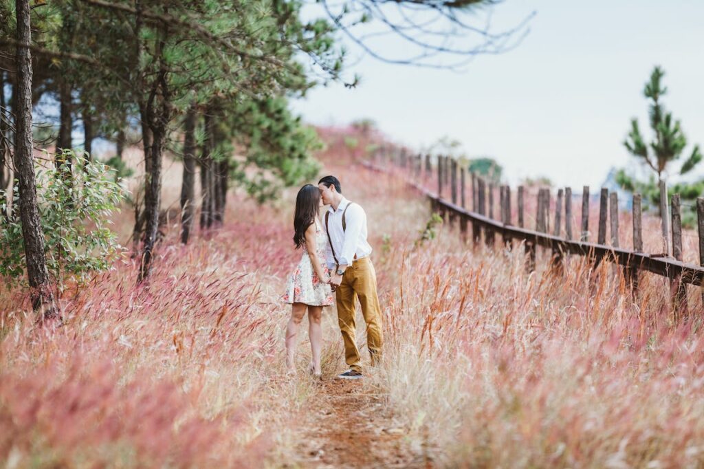 Romance novel couple kissing in field - Photo by Pixabay