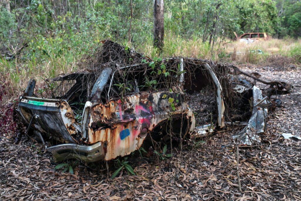 A ruined, abandoned car in a forest - Photo by David Clode on Unsplash

